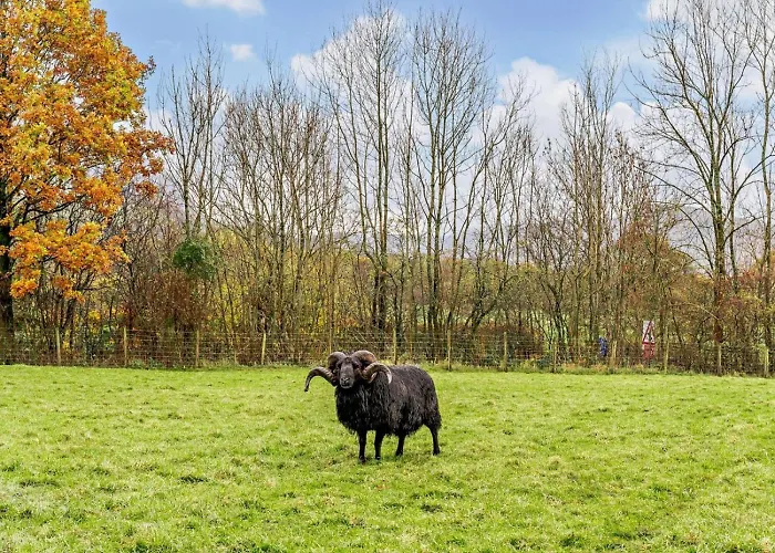 Semesterbostad 3 Bed In Keswick Oc-93589 Threlkeld